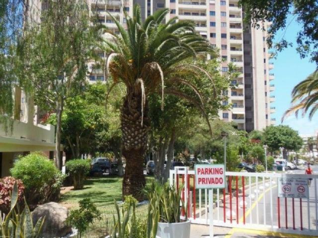 Golden Dreams & Perfect For You ***** Costa Adeje  Zewnętrze zdjęcie